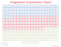 Pregnancy Countdown Chart